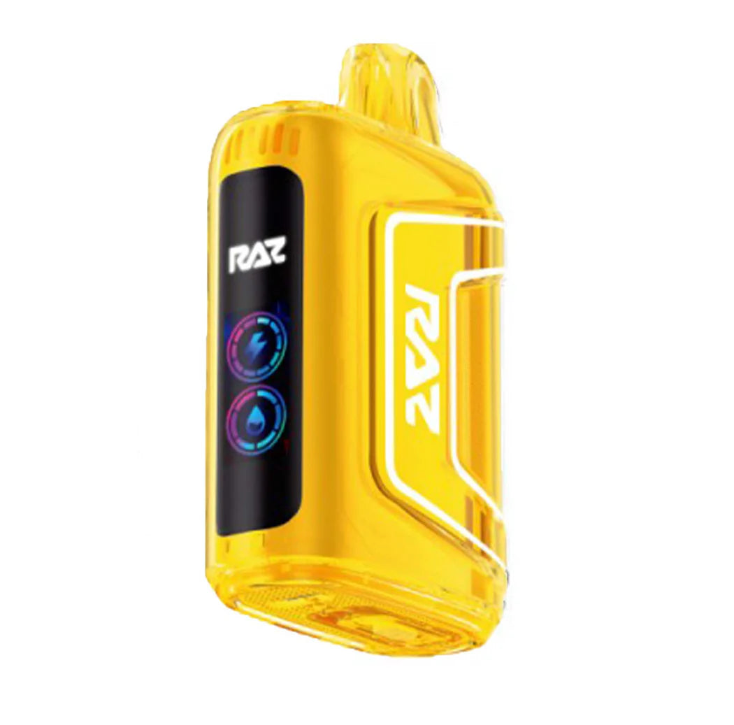 RAZ Vape TN9000 Disposable
